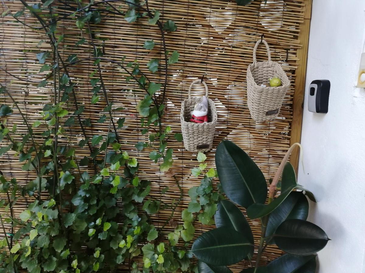 Olga'S Cozy Nest , Apartment In Ano Korakiana. Buitenkant foto
