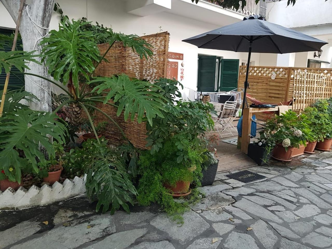 Olga'S Cozy Nest , Apartment In Ano Korakiana. Buitenkant foto